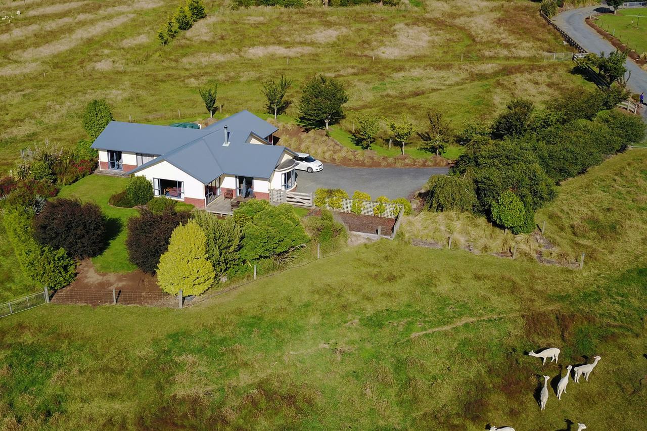 דנידין Alpaca Farmstay מראה חיצוני תמונה